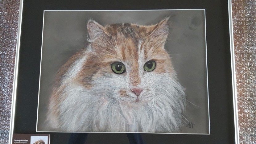 Tekening Serina